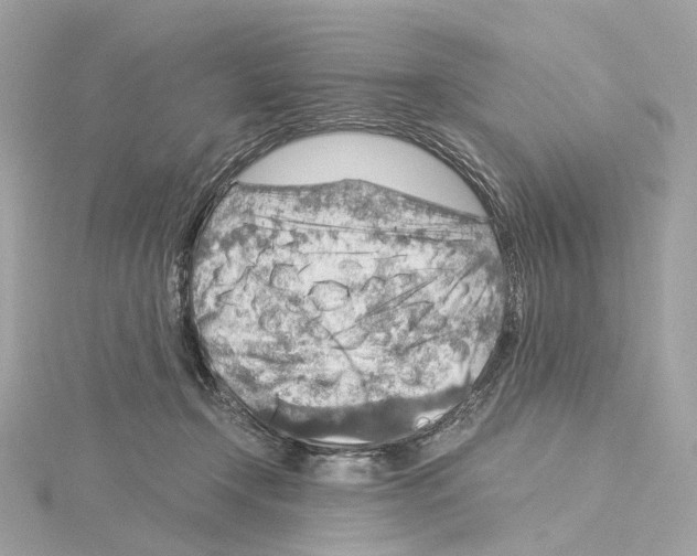 X0000114430366200911271622
