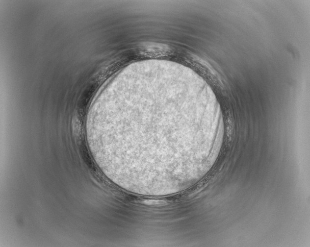 X0000114430371200911271622