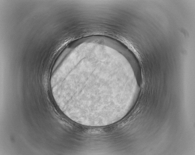 X0000114430386200911271622