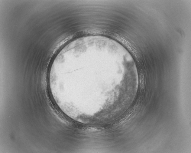 X0000114430390200911271622