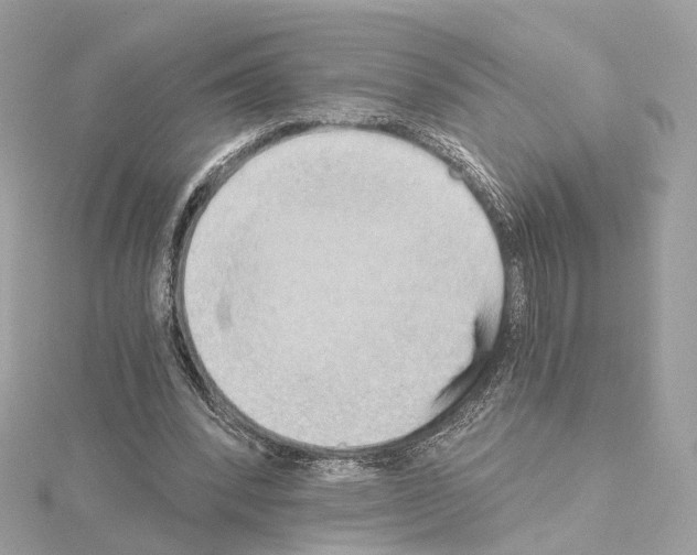 X0000114430392200911271622