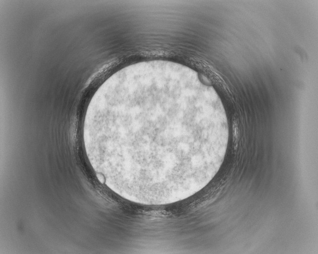 X0000114430396200911271622