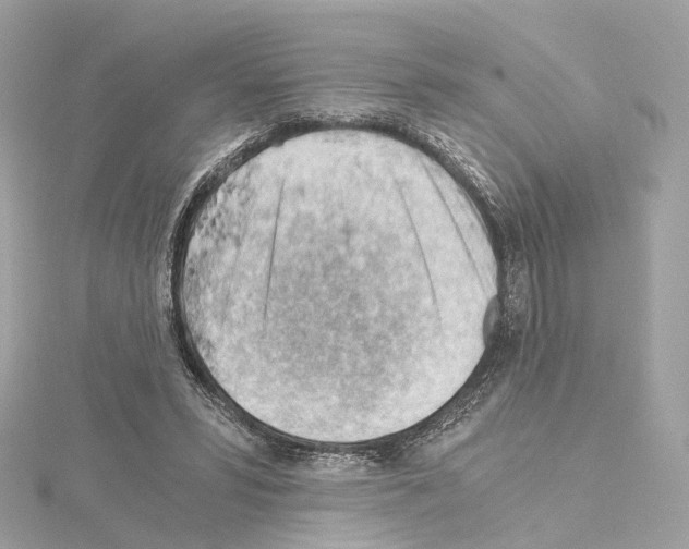X0000114430399200911271622