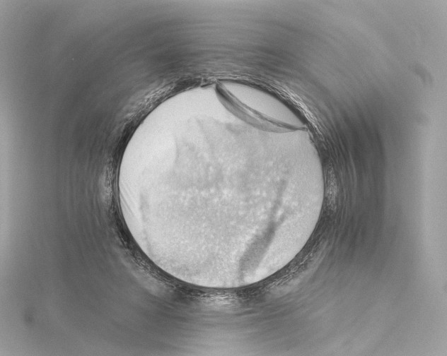 X0000114430402200911271622