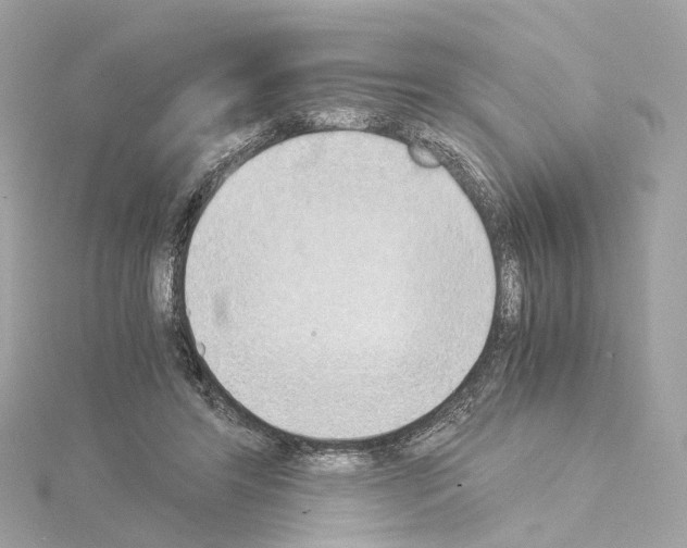 X0000114430404200911271621