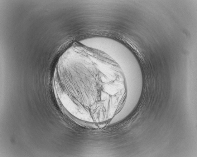 X0000114430407200911271621
