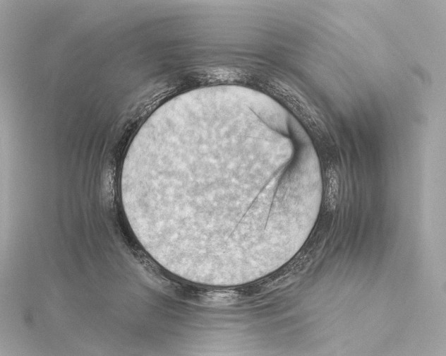 X0000114430410200911271621