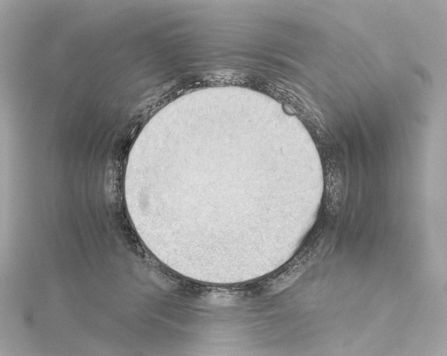 X0000114430416200911271621