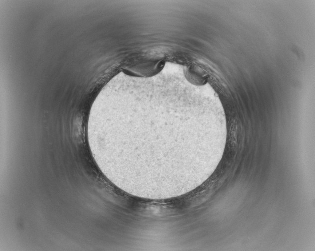 X0000114430420200911271621