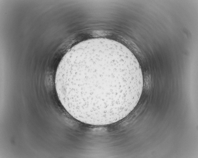 X0000114430426200911271621