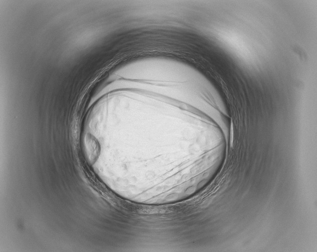 X0000114430435200911271621