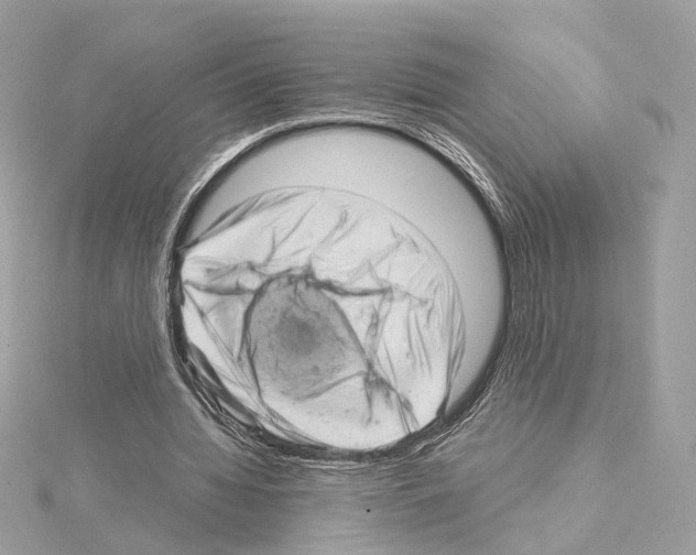 X0000114430436200911271621