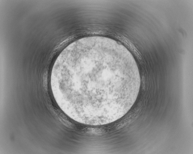 X0000114430442200911271621