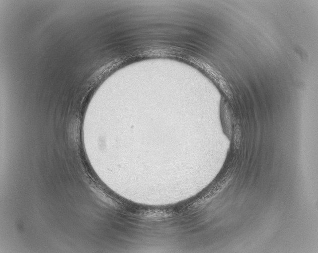 X0000114430445200911271621