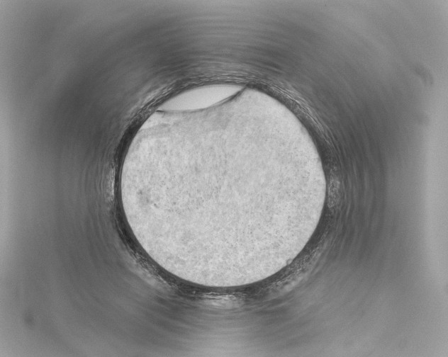 X0000114430454200911271621