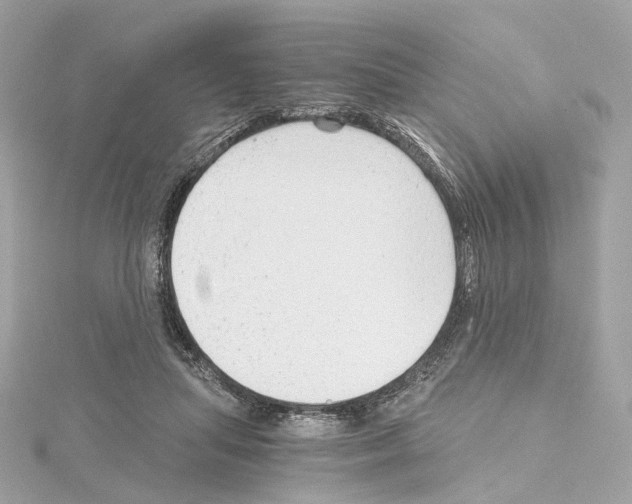 X0000114430455200911271621