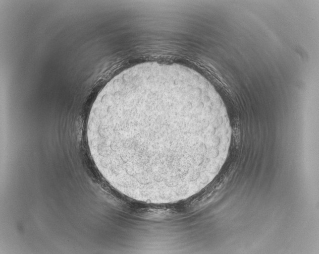 X0000114430458200911271621