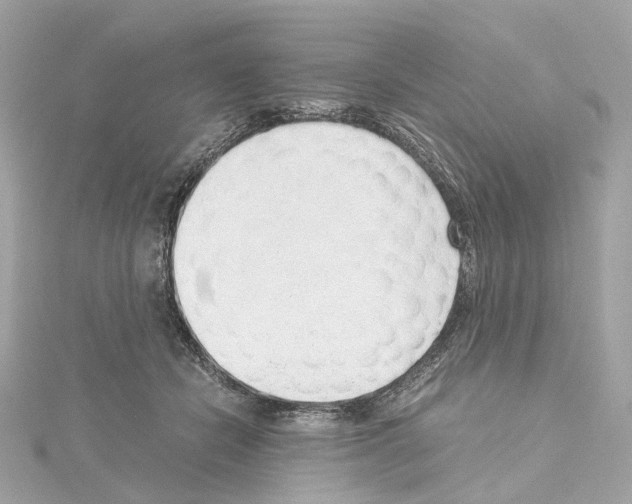 X0000114430462200911271621