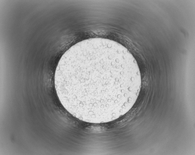 X0000114430464200911271621