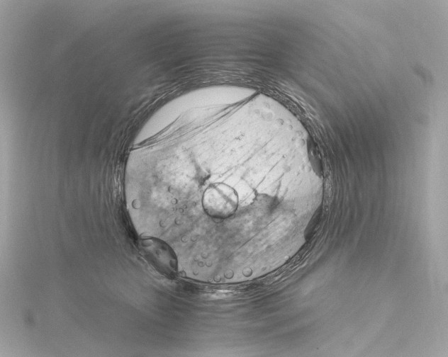 X0000114430467200911271621