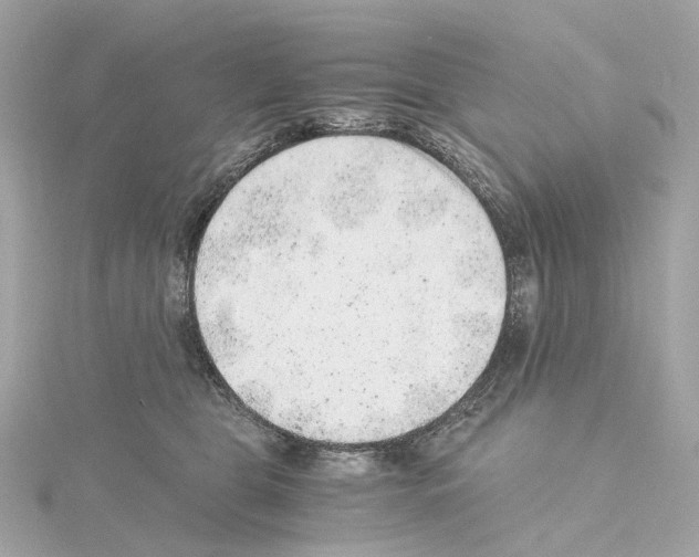 X0000114430469200911271621