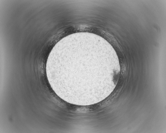 X0000114430470200911271621