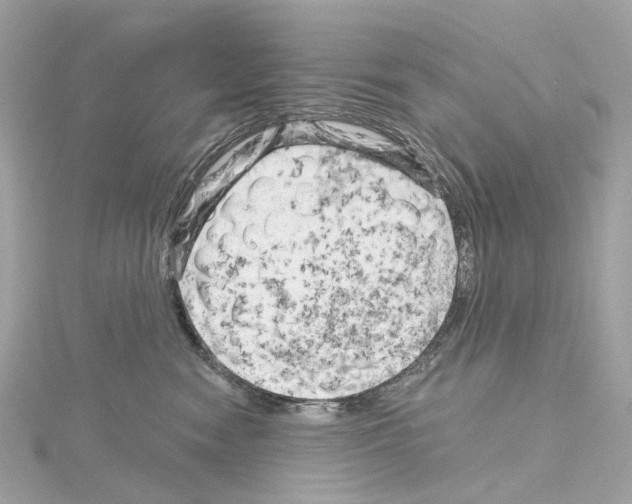 X0000114430474200911271621