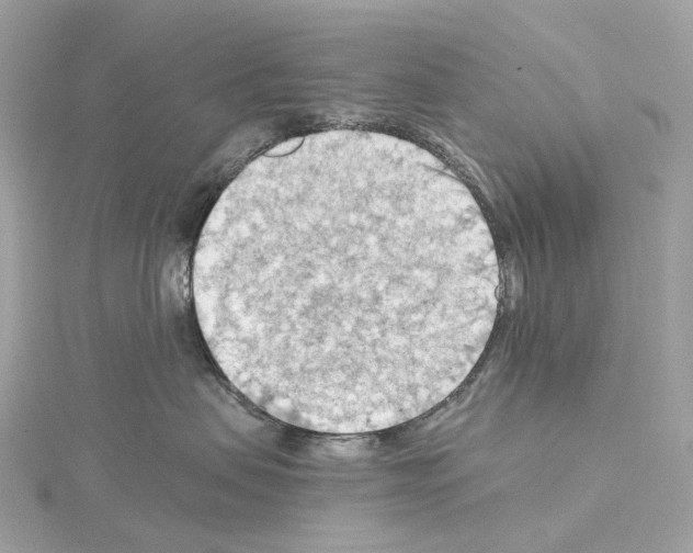 X0000114430479200911271621