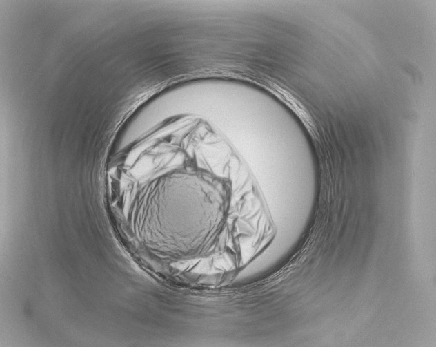 X0000114430485200911271620