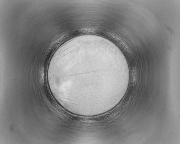 X0000114430494200911271620