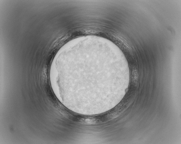 X0000114430506200911271620