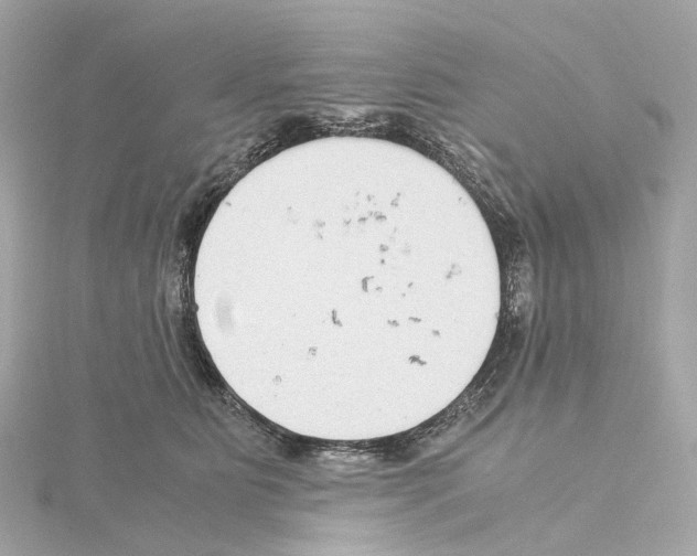 X0000114430515200911271620