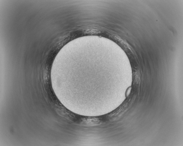 X0000114430517200911271620