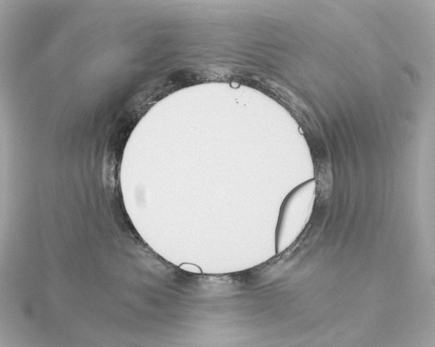 X0000114430525200911271620