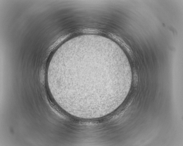 X0000114430533200911271619