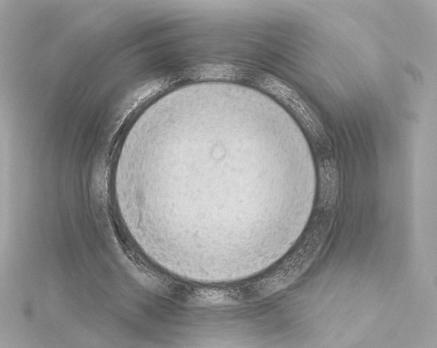 X0000114430534200911271619
