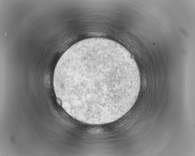 X0000114430551200911271620