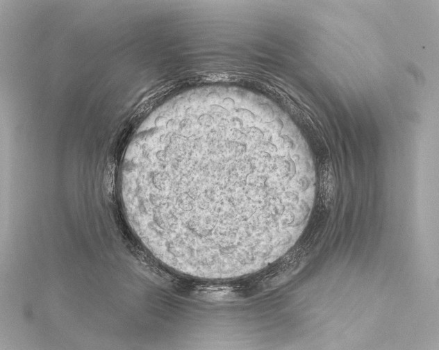 X0000114430554200911271620
