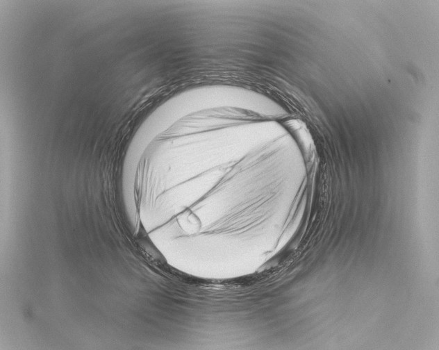 X0000114430558200911271620