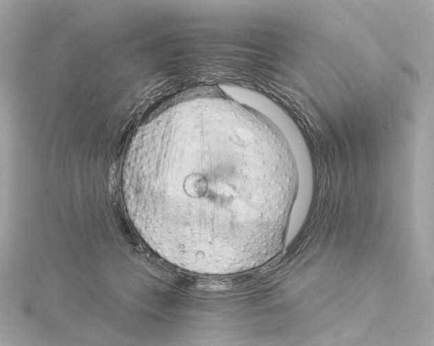 X0000114430559200911271620