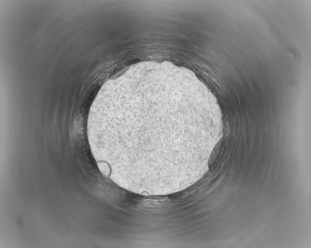 X0000114430571200911271620