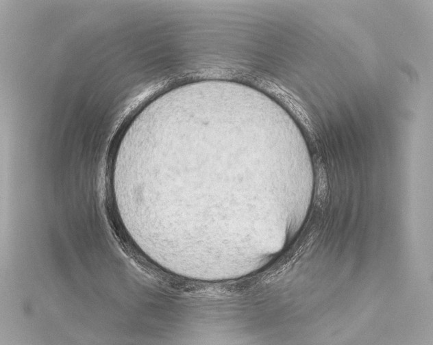 X0000114430578200911271619