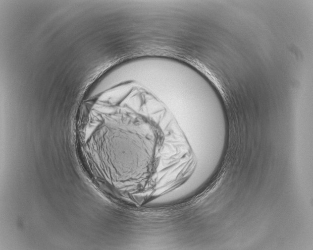 X0000114430581200911271619