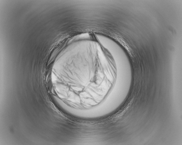 X0000114430585200911271619