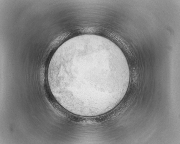 X0000114430586200911271619