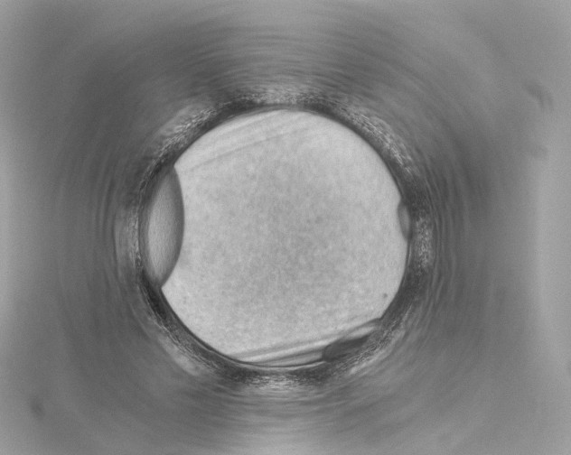 X0000114430589200911271619