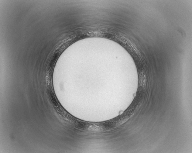 X0000114430599200911271619