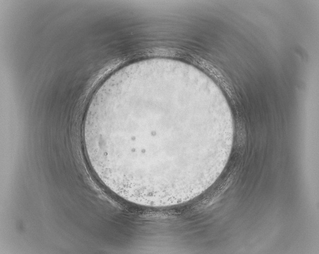 X0000114430625200911271618