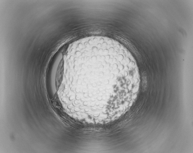 X0000114430626200911271618