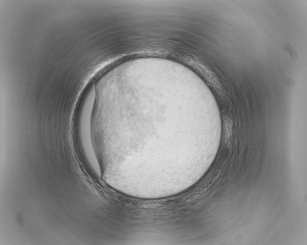 X0000114430628200911271618